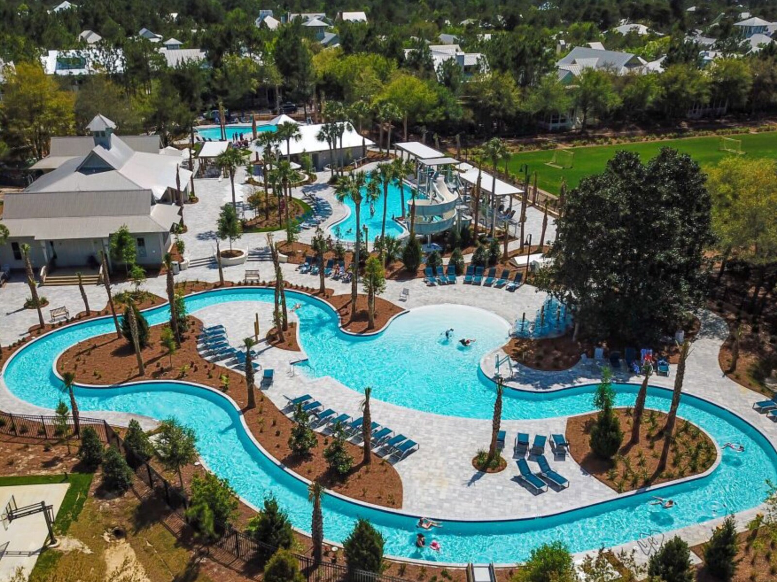 WaterColor pool with loungers and palm trees